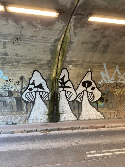 grafiti Odense